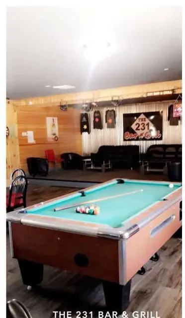 The pool table